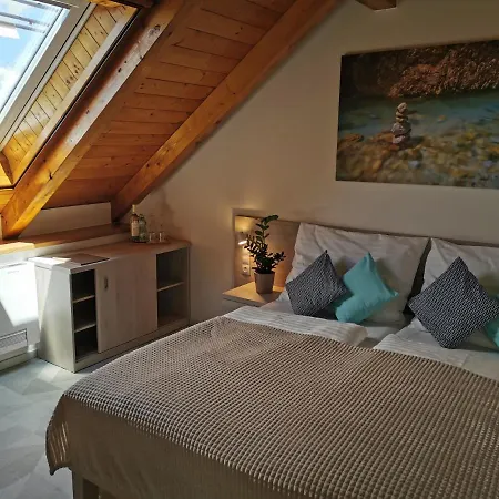 Casa de hóspedes Sylván 4*